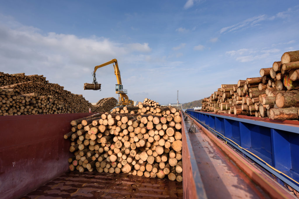 Holz Umschlag Waggons Zug bayernhafen Passau