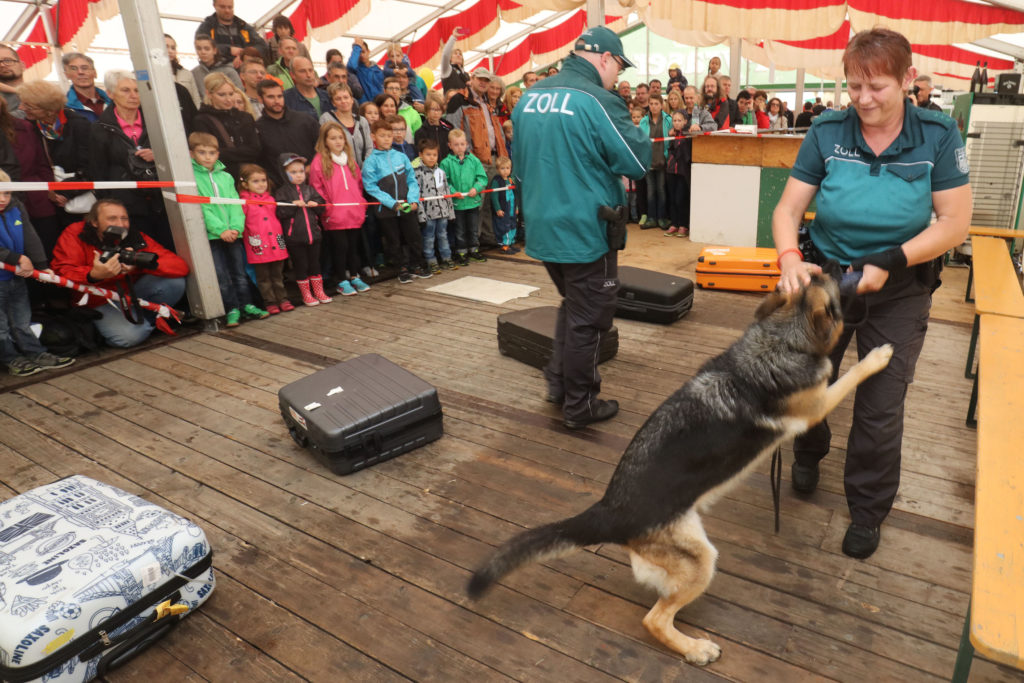 Zollhunde - Hafenfest 2016 - bayernhafen Nürnberg