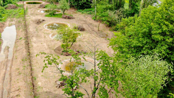 Luftbild Laichgewässer im bayernhafen Aschaffenburg